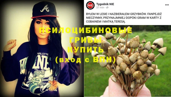 тгк Армянск