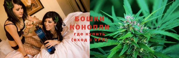 spice Арсеньев