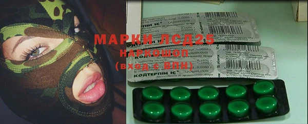spice Арсеньев