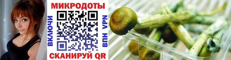 Галлюциногенные грибы Cubensis  Перевоз 